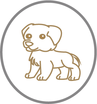 png12
